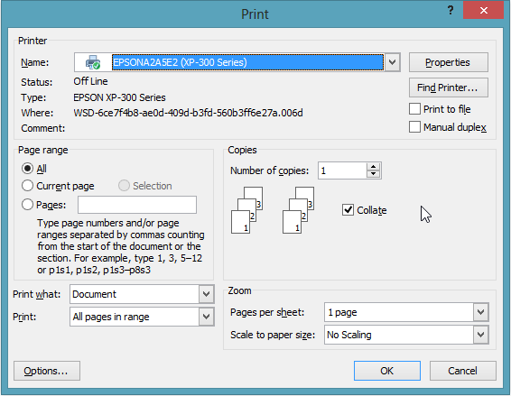 print settings window